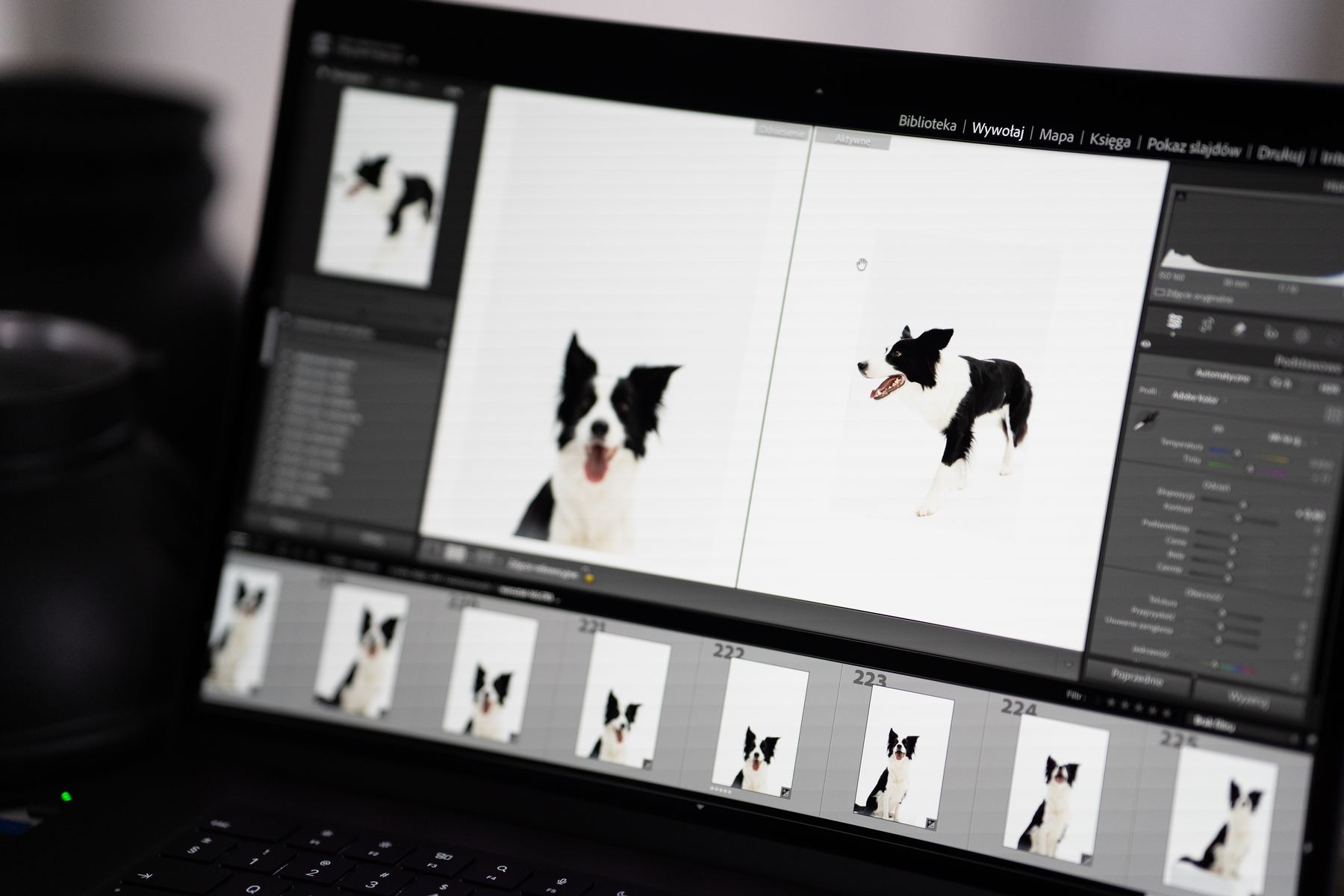 Laptop z galerią zdjęć z sesji podczas wyboru kadrów